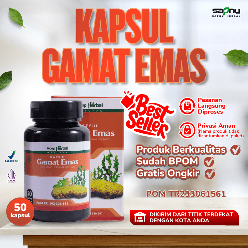 Kapsul Gamat Emas dari Ekstrak Teripang dengan Kualitas Terbaik